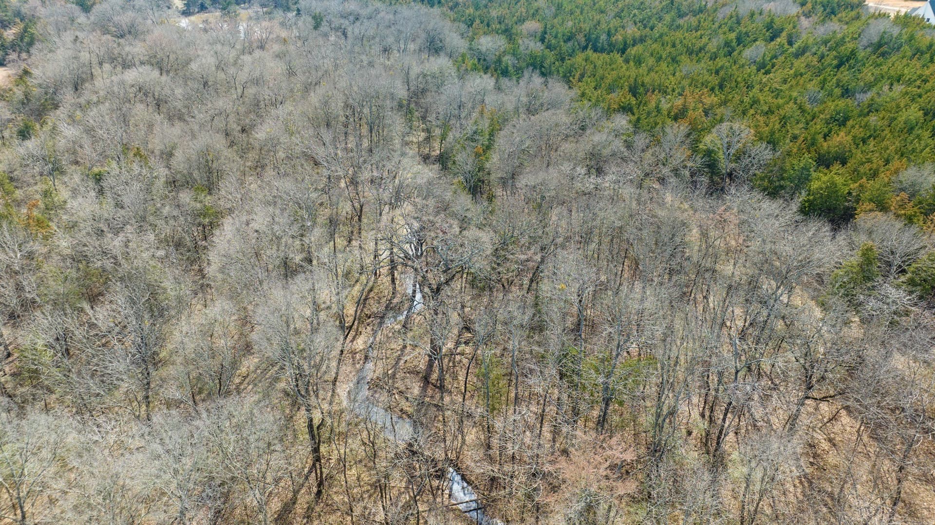 49.48 acres in Lamar County - photo 14