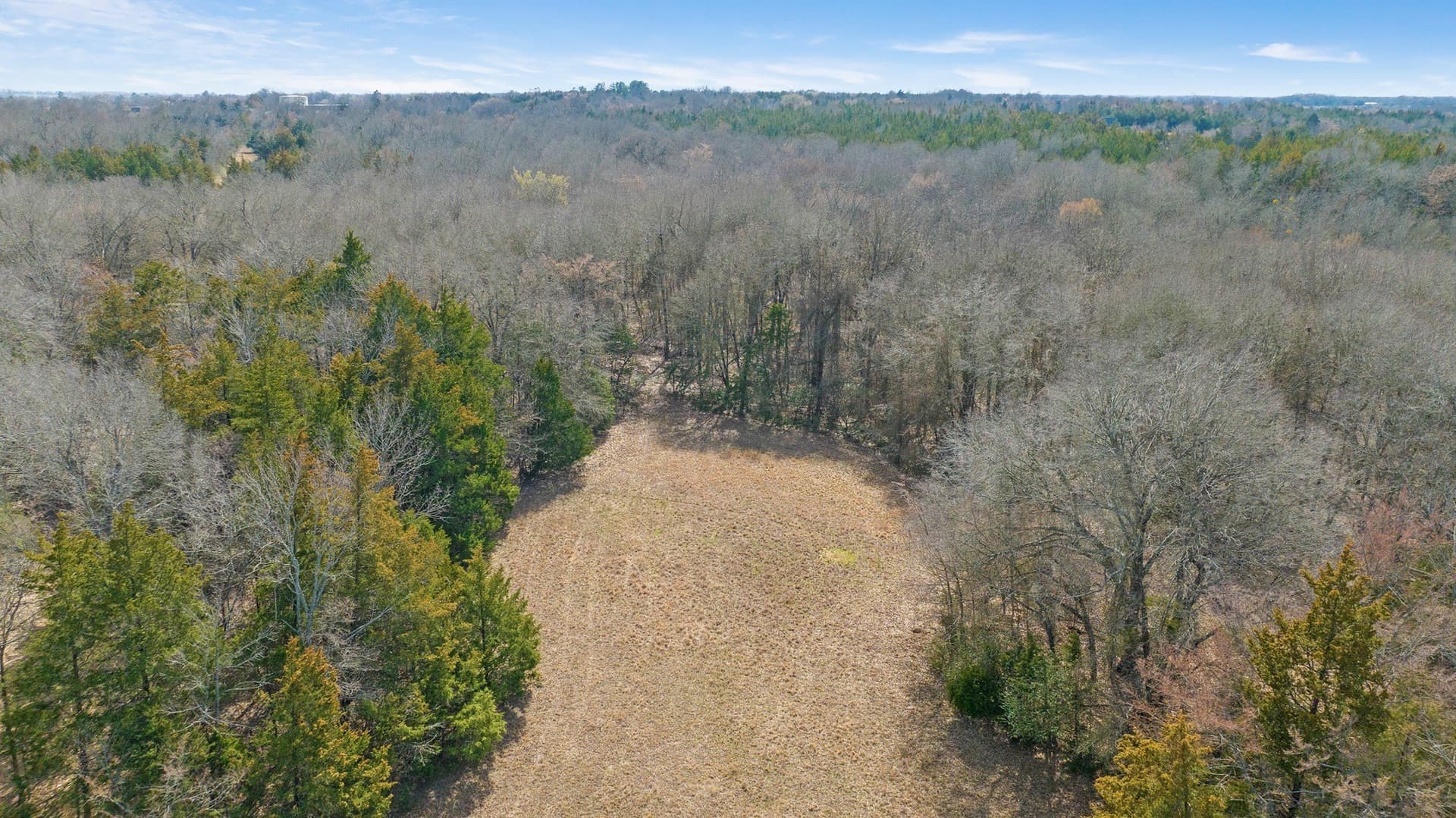 49.48 acres in Lamar County - photo 15