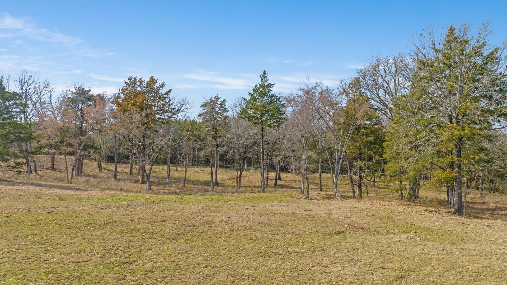 49.48 acres in Lamar County - photo 29