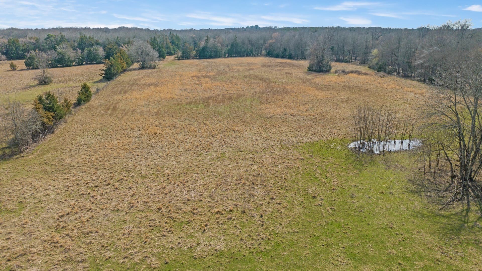49.48 acres in Lamar County - photo 16
