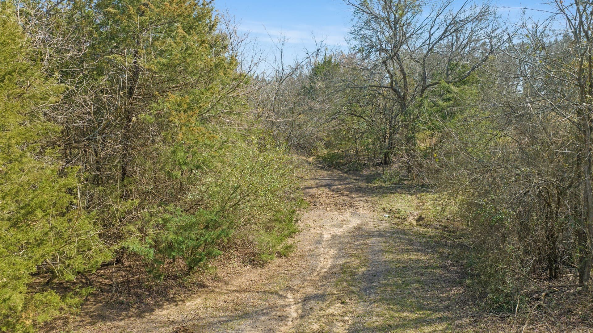 49.48 acres in Lamar County - photo 22