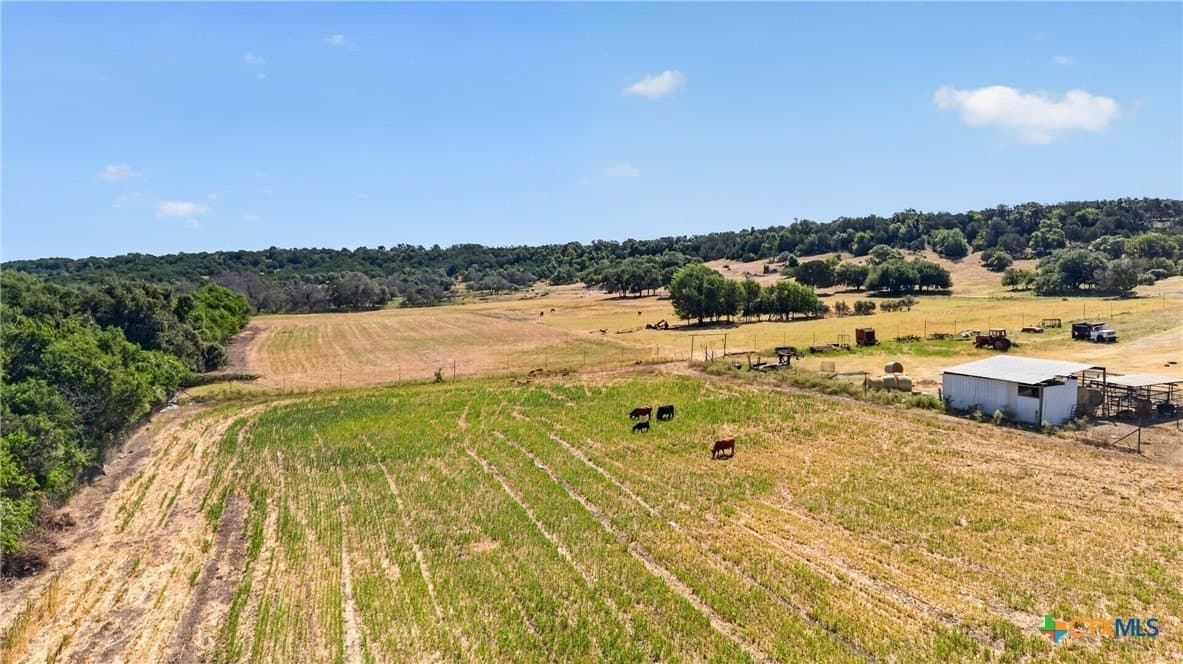 204.23 acres in Bell County - photo 13