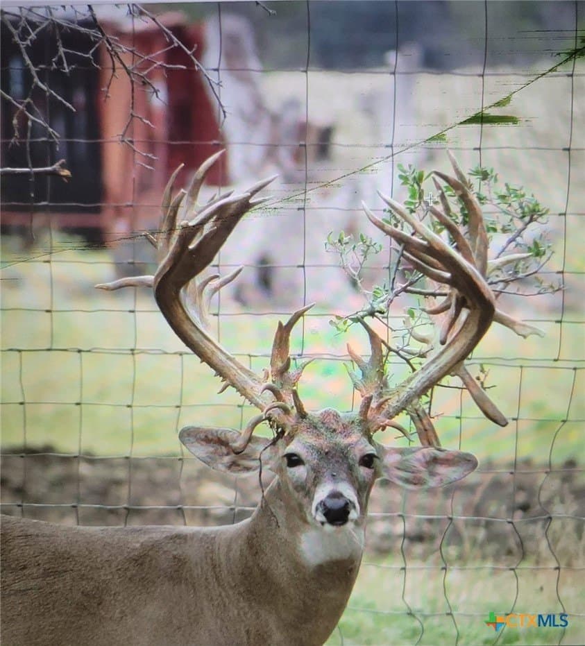 204.23 acres in Bell County - photo 45