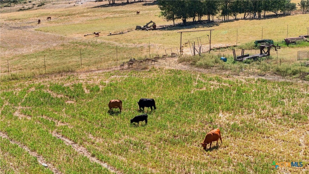 204.23 acres in Bell County - photo 14
