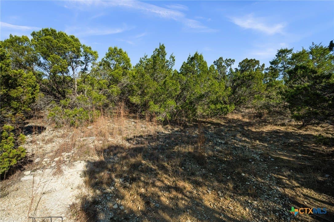 4.07 acres in Travis County - photo 18