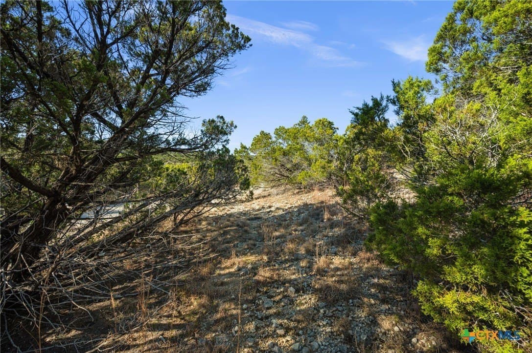 4.07 acres in Travis County - photo 19