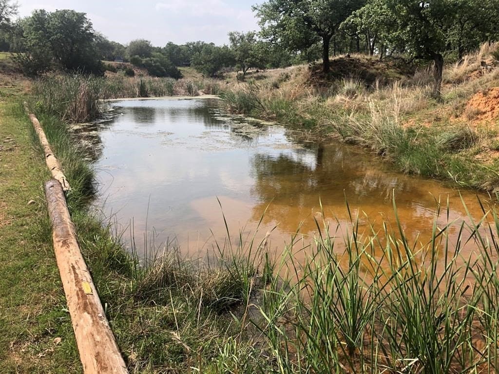 9.8 acres in Gillespie County gallery image 4