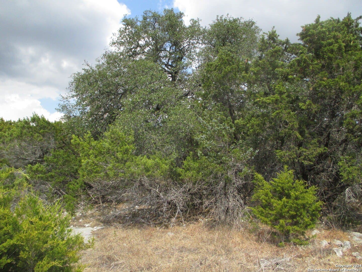 0.9 acres in Kendall County - photo 6