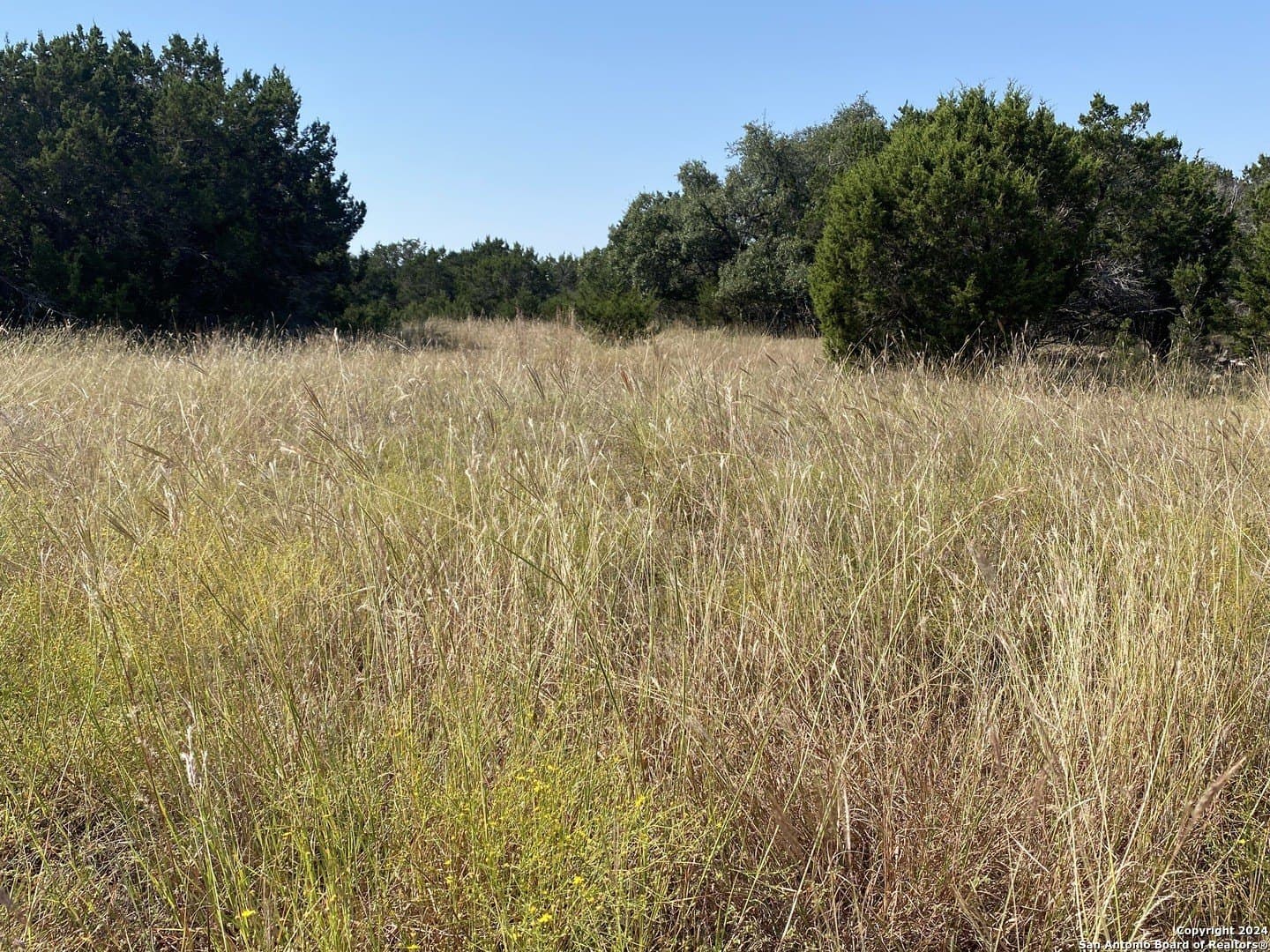 0.9 acres in Kendall County - photo 2