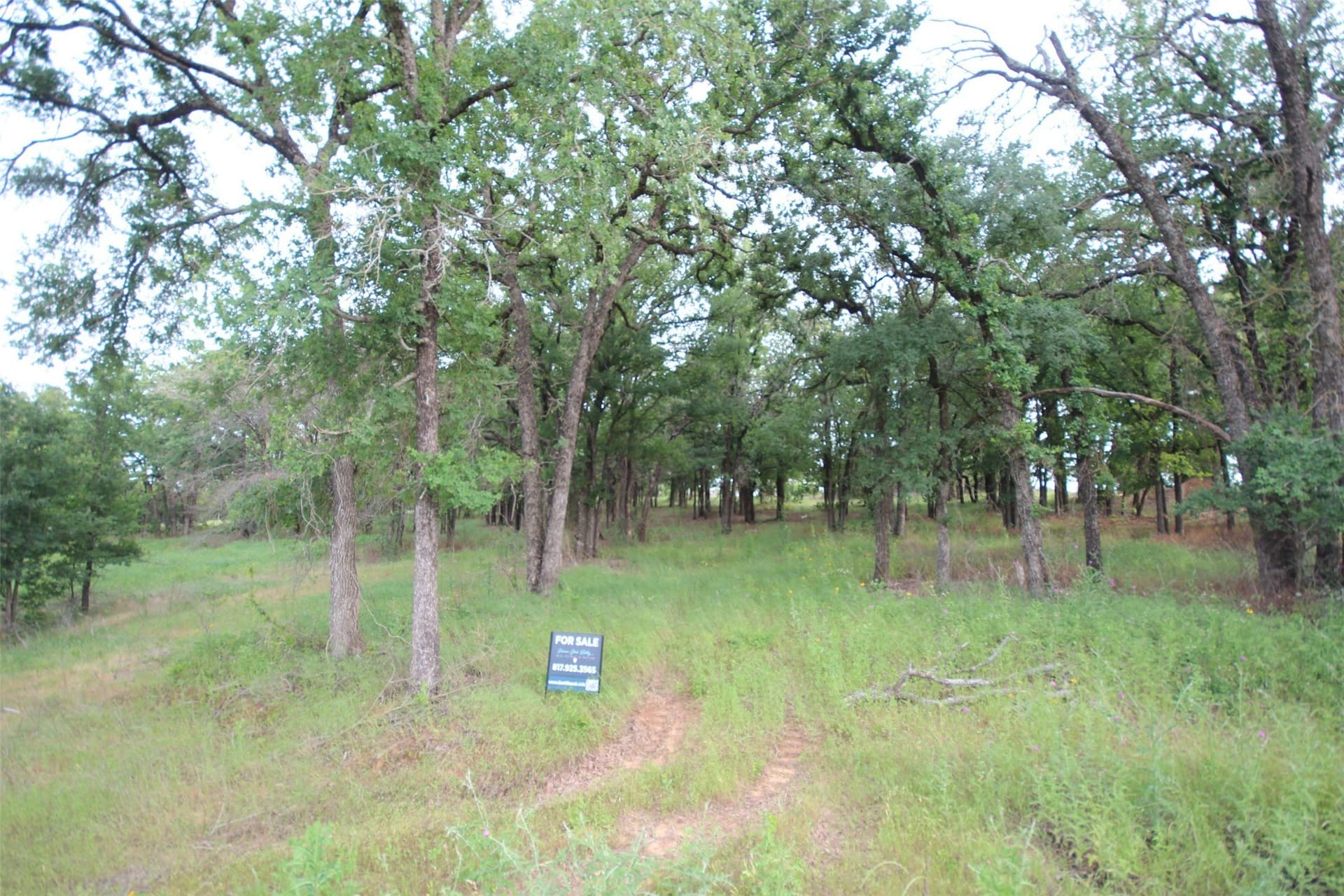 2 acres in Parker County - photo 7