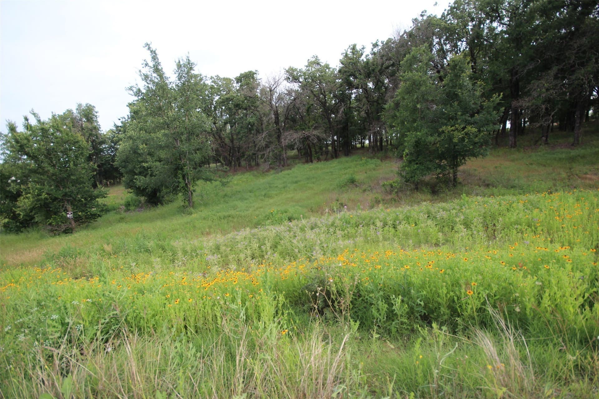 2 acres in Parker County - photo 9