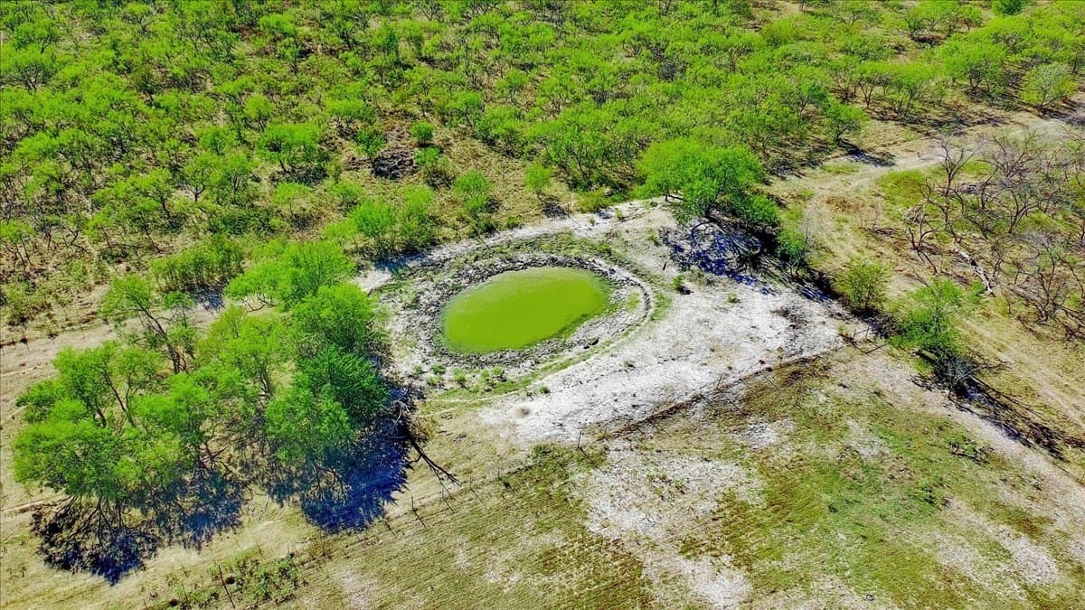 27.67 acres in Navarro County - photo 4