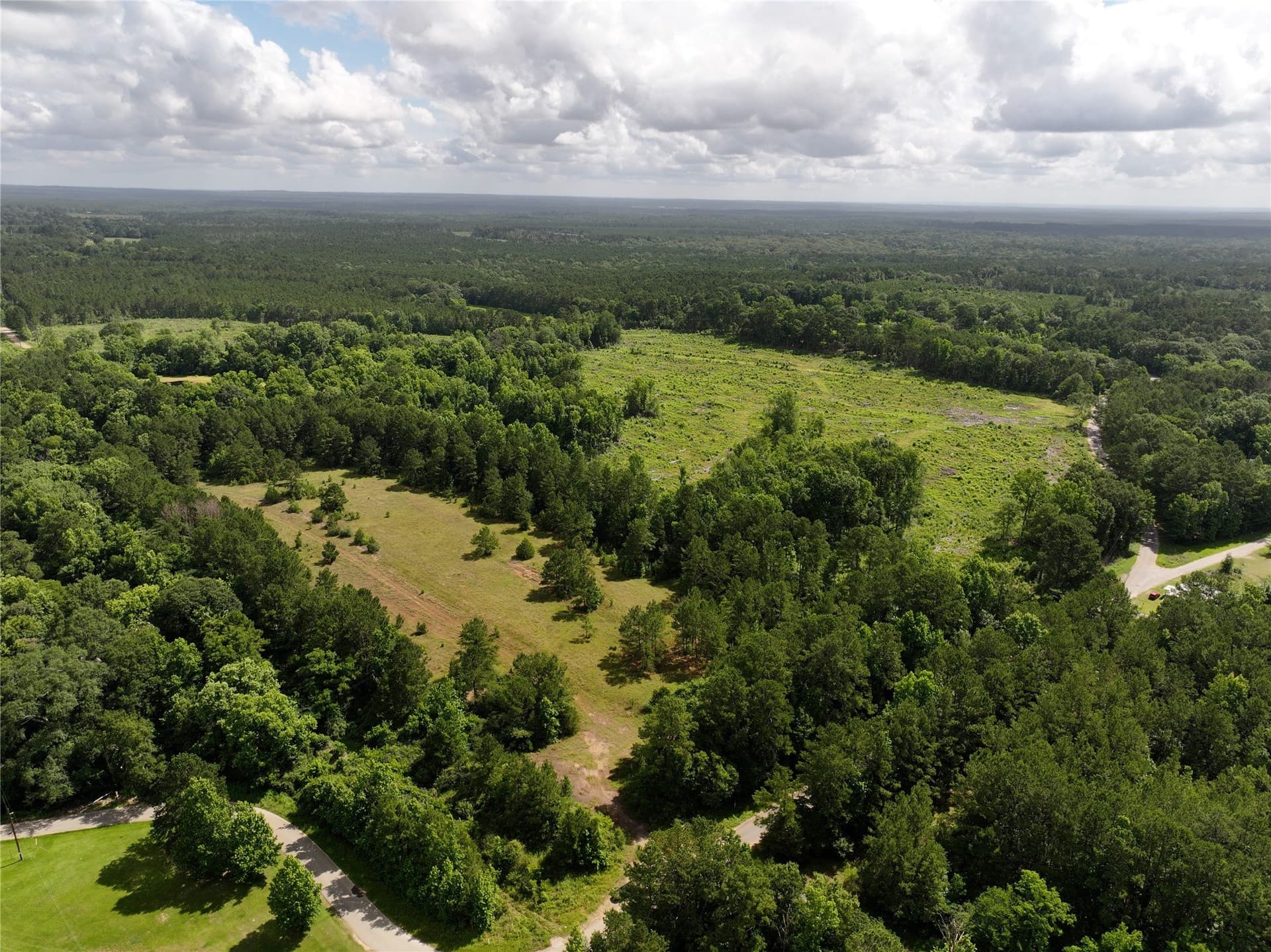 10 acres in Tyler County gallery image 2