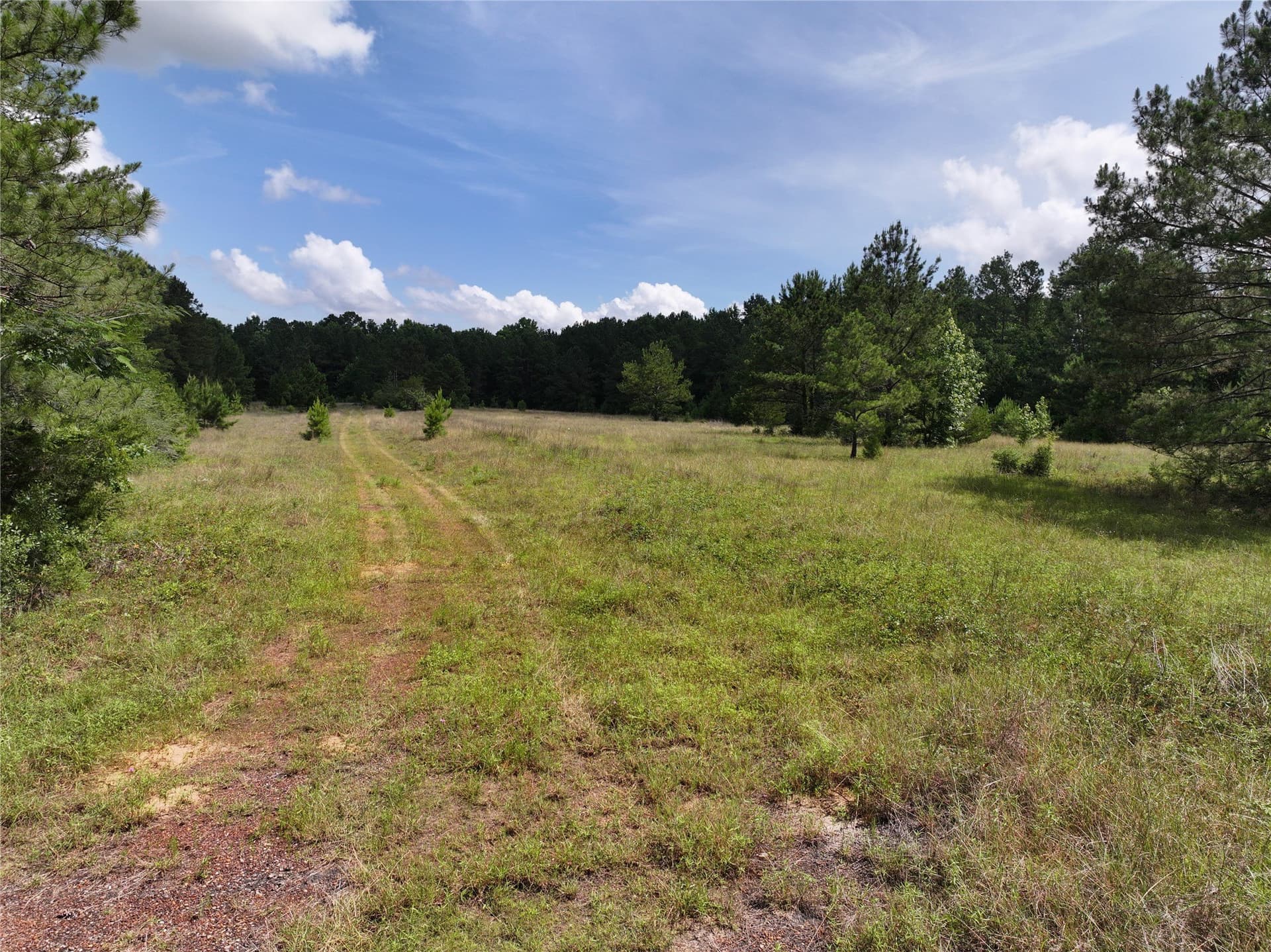 10 acres in Tyler County