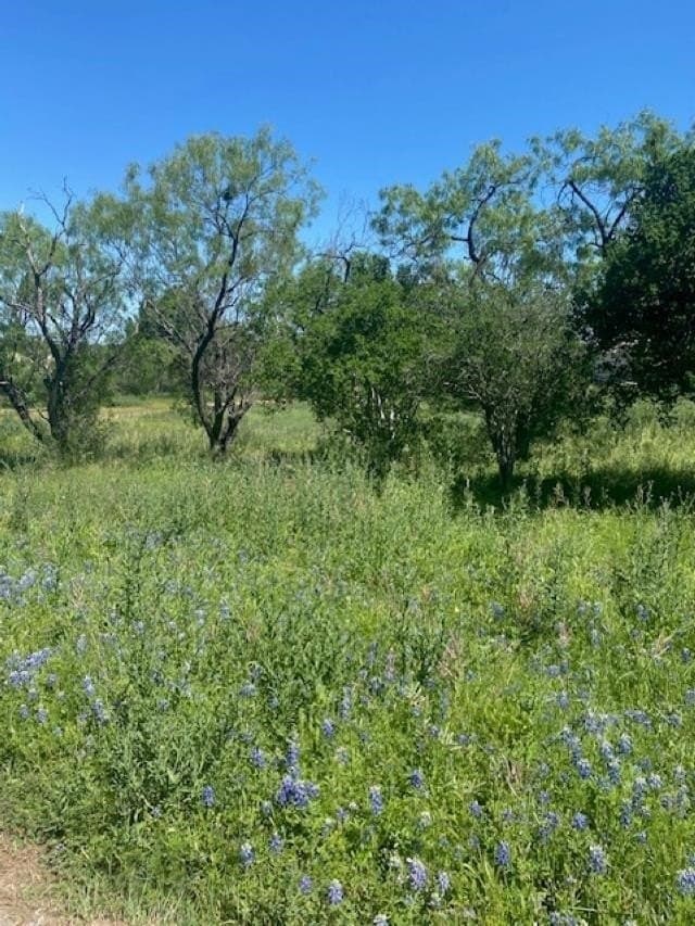 0.16 acres in Llano County gallery image 2