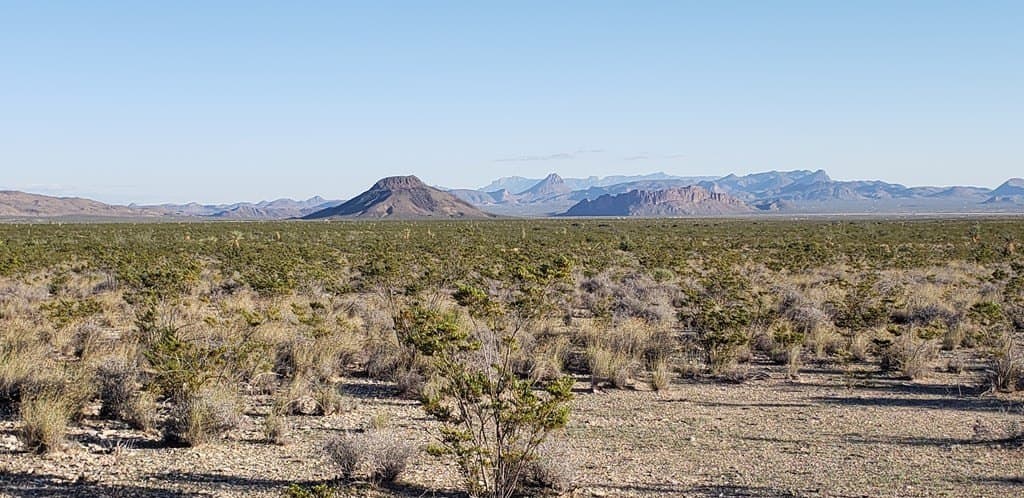 20 acres in Brewster County gallery image 4