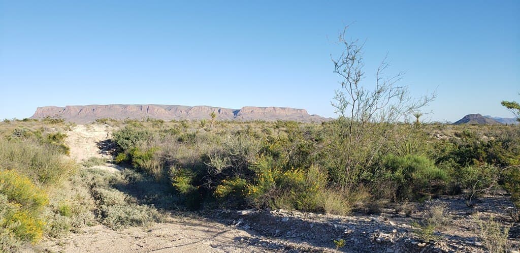 20 acres in Brewster County - photo 8