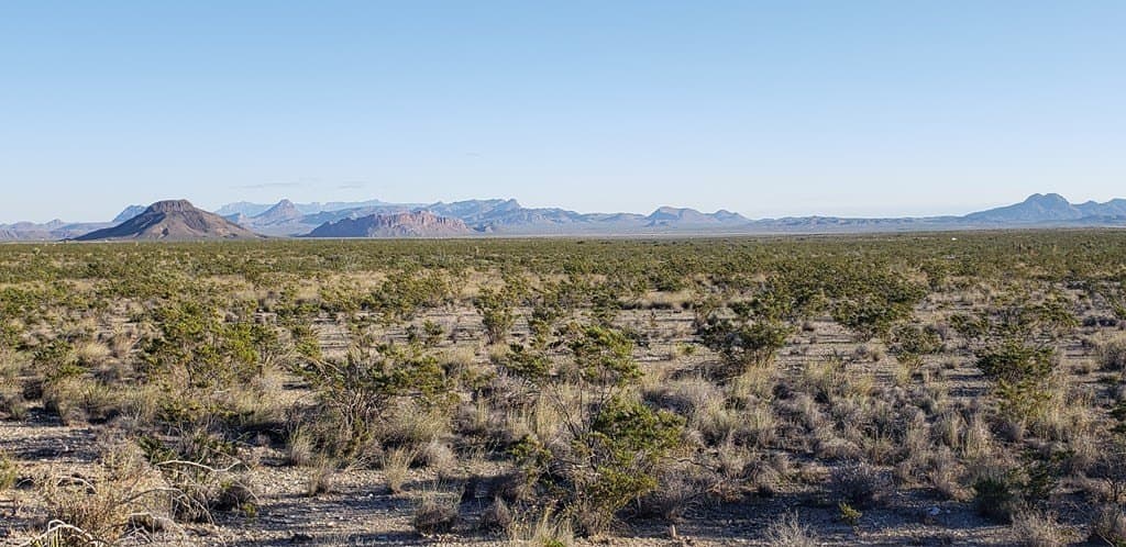 20 acres in Brewster County - photo 14