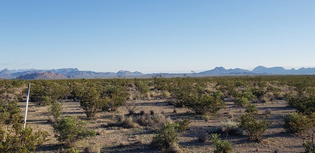20 acres in Brewster County - photo 13