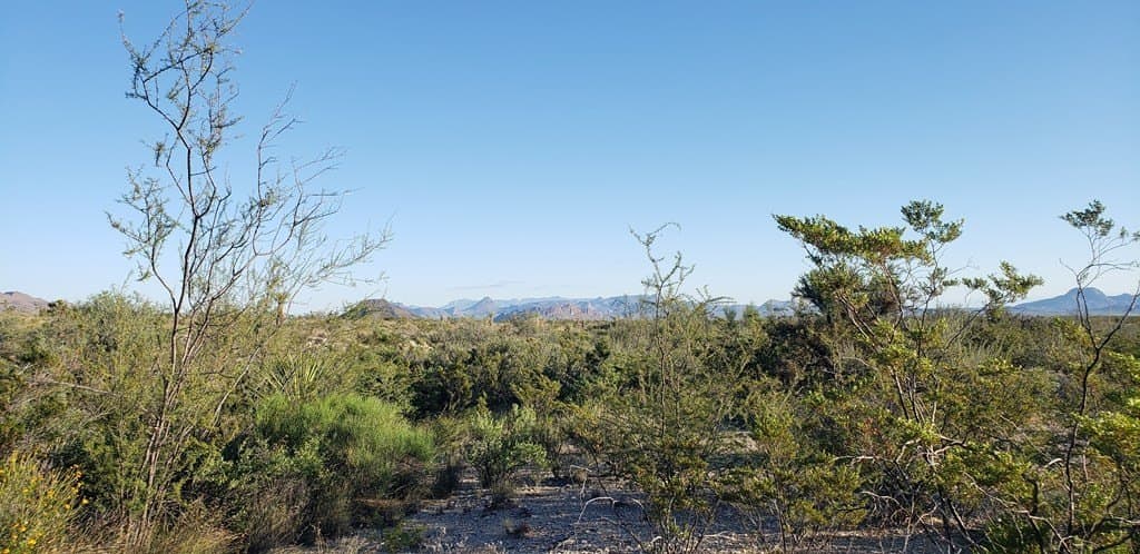 20 acres in Brewster County - photo 10