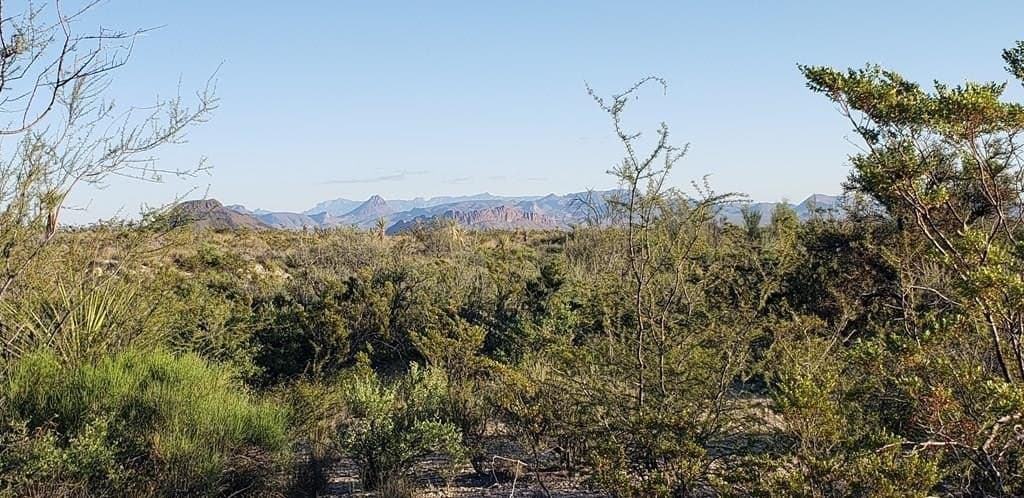 20 acres in Brewster County gallery image 2