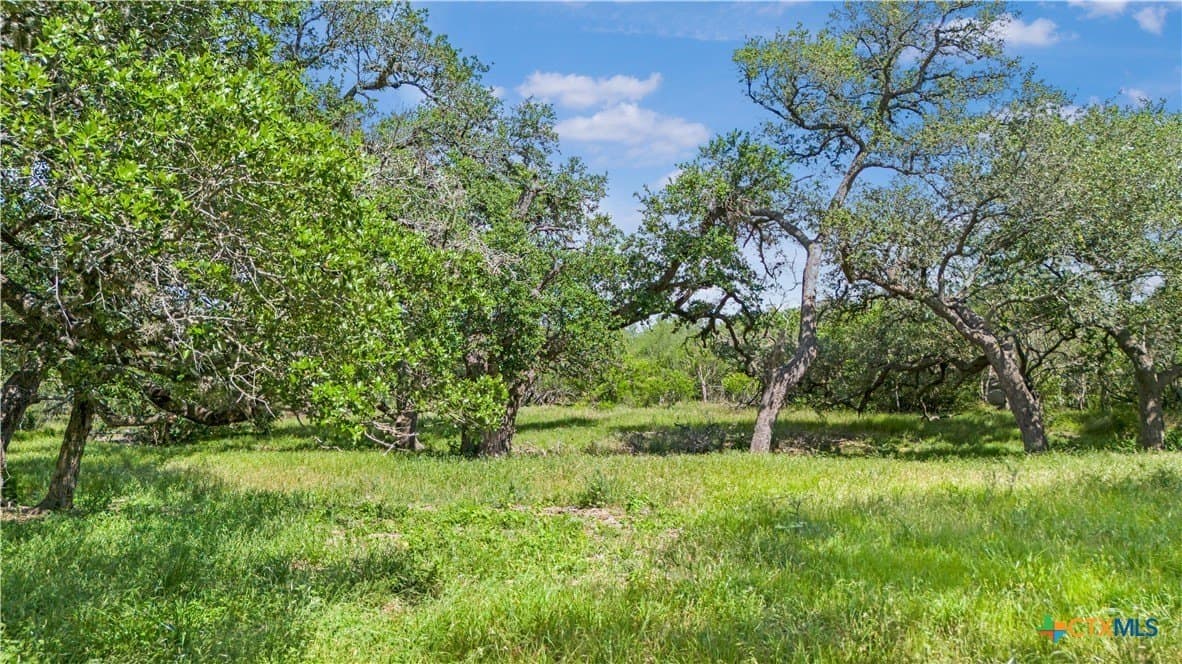 23.88 acres in Victoria County featured view