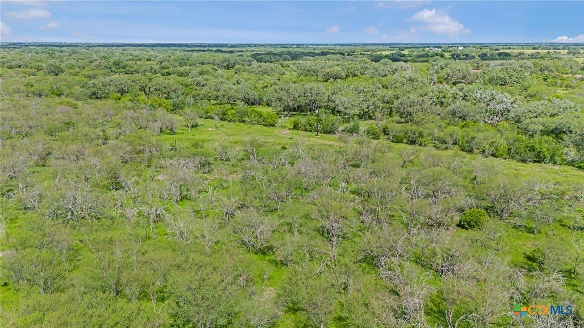 23.88 acres in Victoria County - photo 22