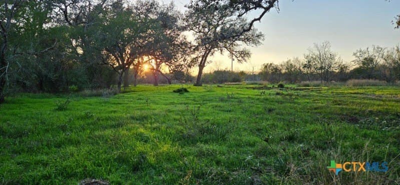 23.88 acres in Victoria County - photo 13