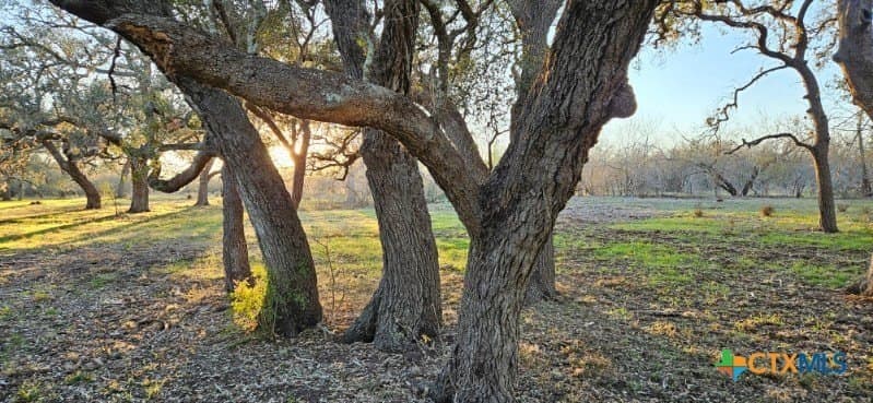 23.88 acres in Victoria County - photo 12