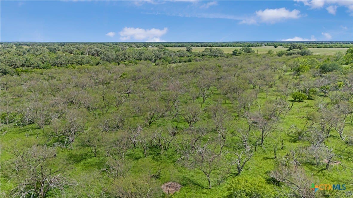 23.88 acres in Victoria County - photo 21