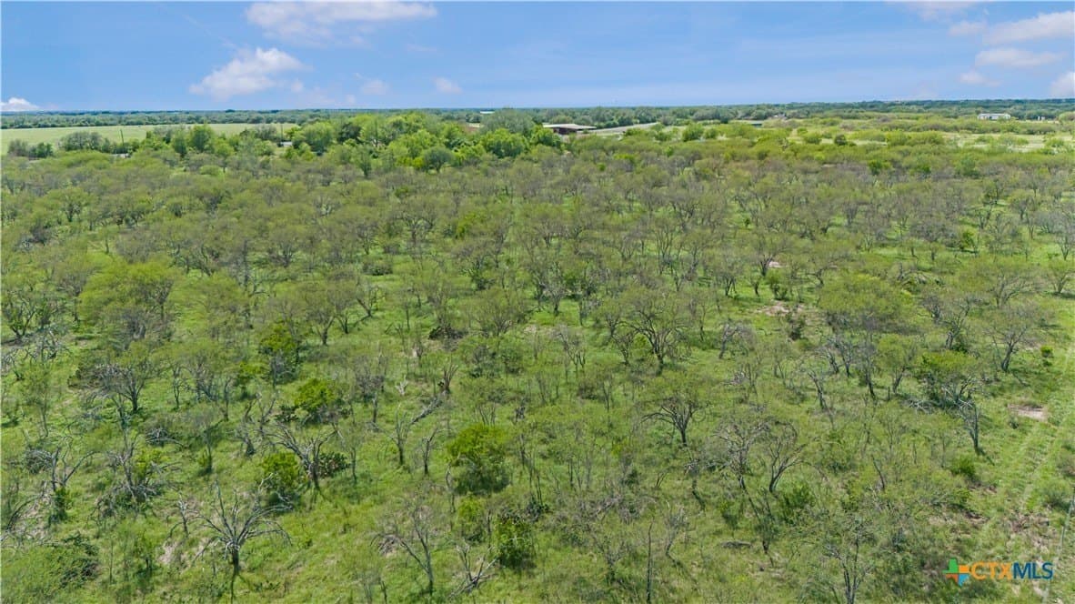 23.88 acres in Victoria County - photo 20