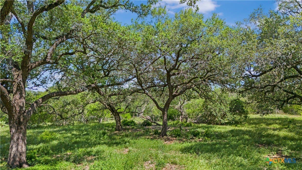 23.88 acres in Victoria County gallery image 4