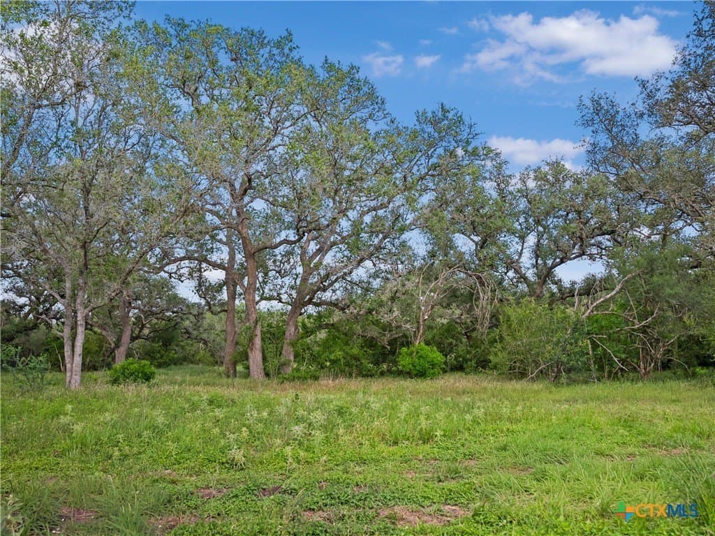 23.88 acres in Victoria County - photo 7