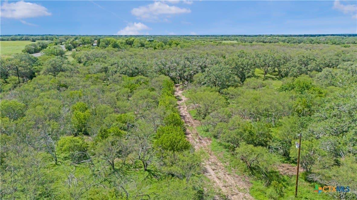23.88 acres in Victoria County - photo 25