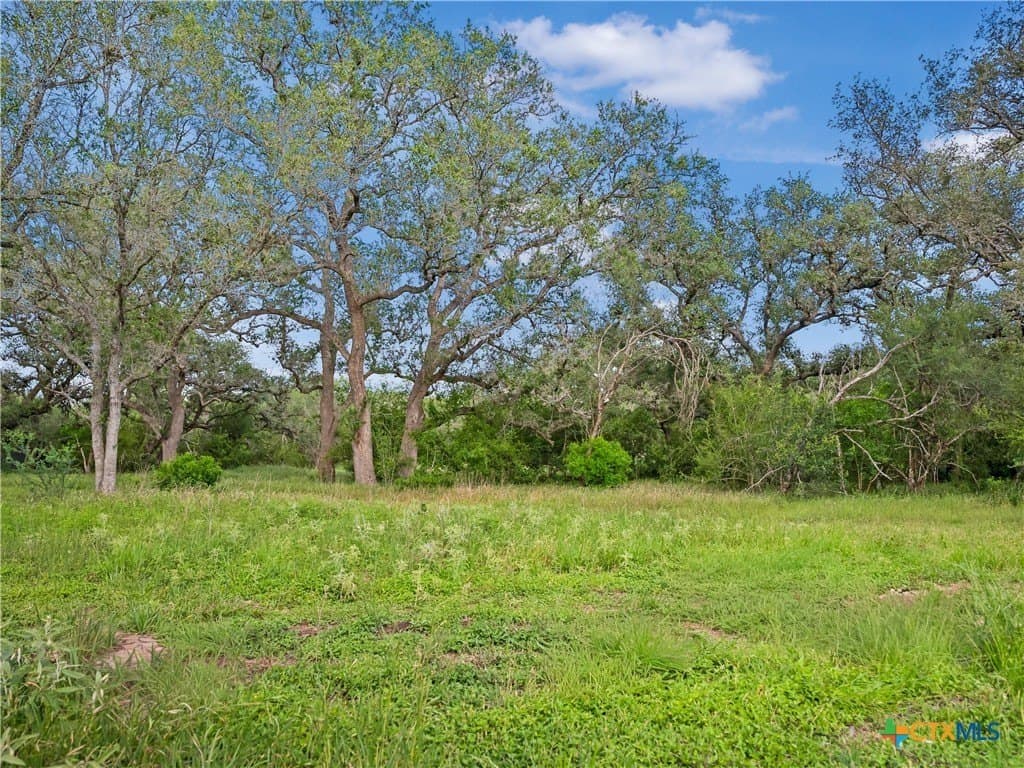 23.88 acres in Victoria County - photo 8