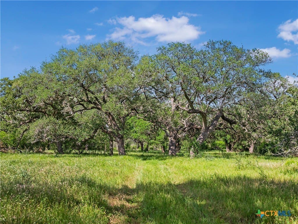 23.88 acres in Victoria County