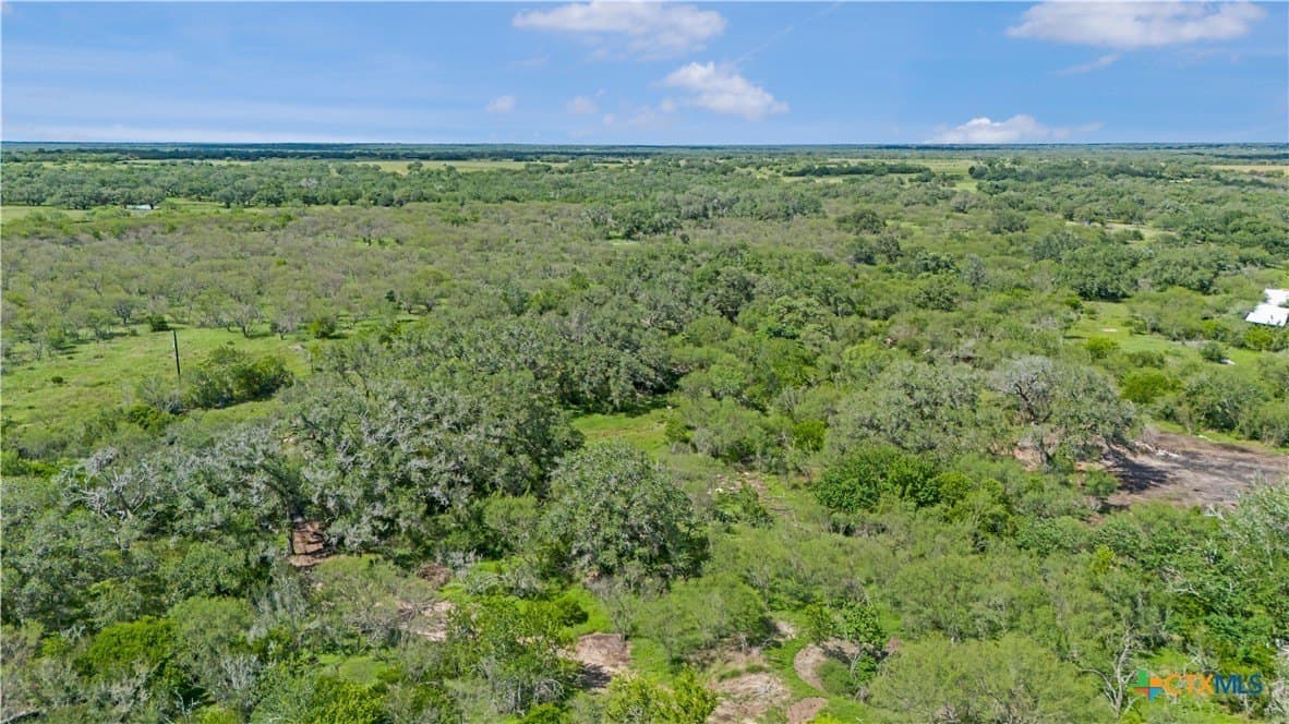 23.88 acres in Victoria County - photo 26