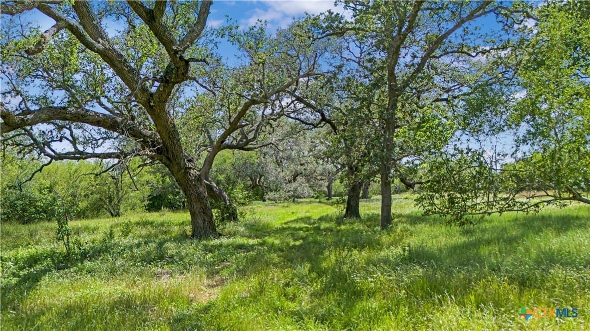 23.88 acres in Victoria County gallery image 3
