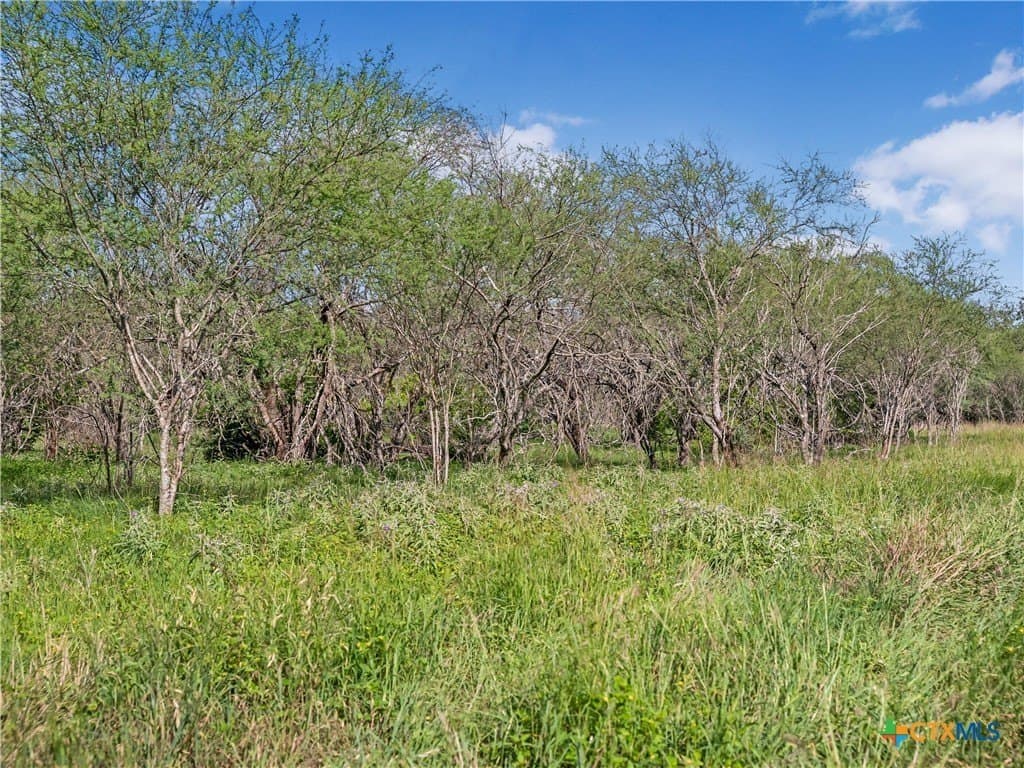 23.88 acres in Victoria County - photo 10