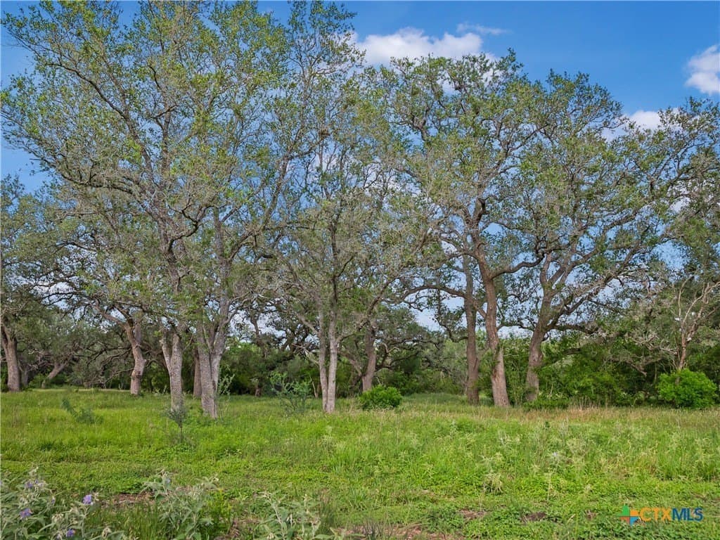 23.88 acres in Victoria County - photo 9