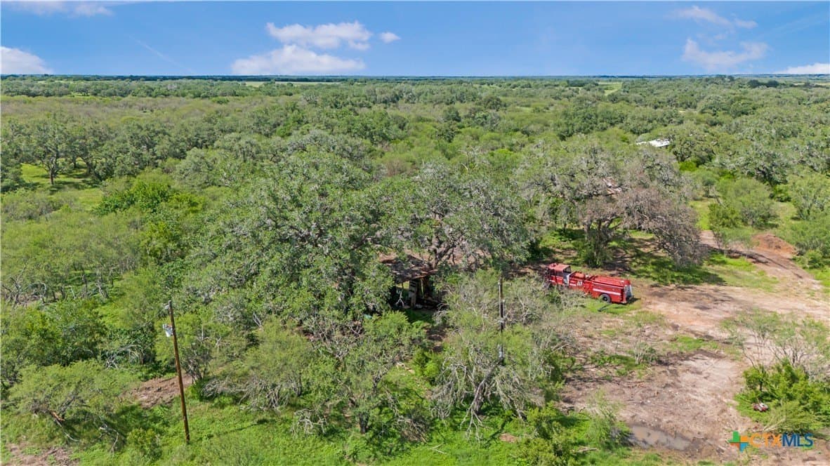 23.88 acres in Victoria County - photo 24