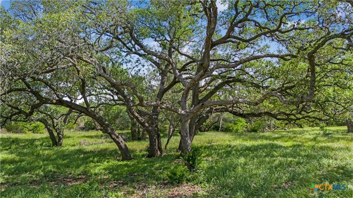23.88 acres in Victoria County gallery image 2