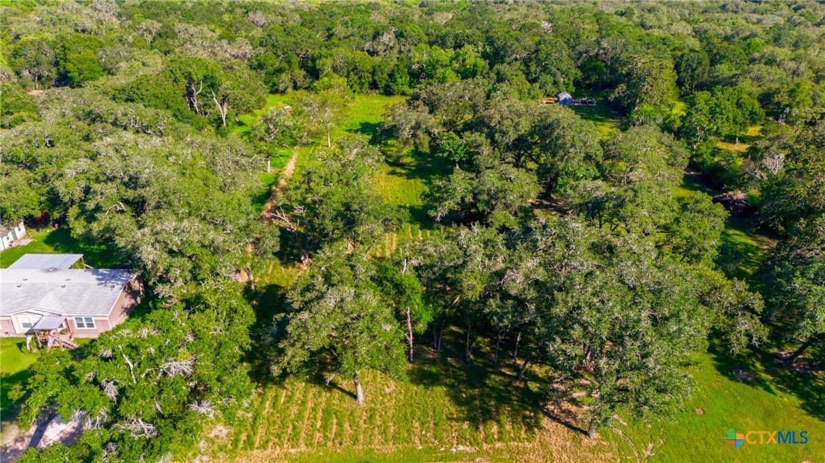 2 acres in Victoria County - photo 7