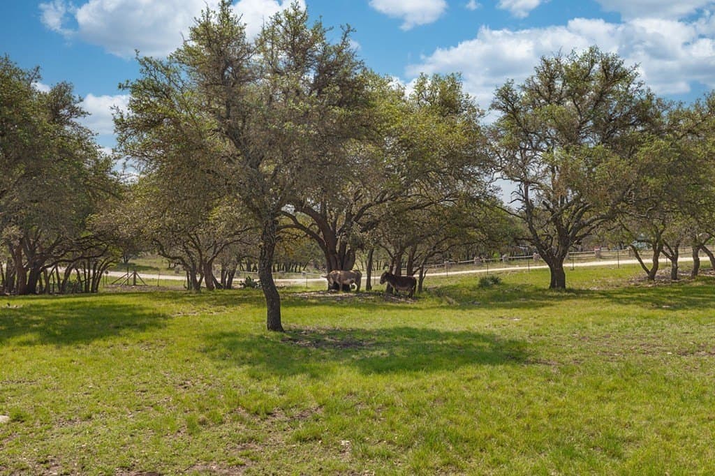 5 acres in Kimble County - photo 31