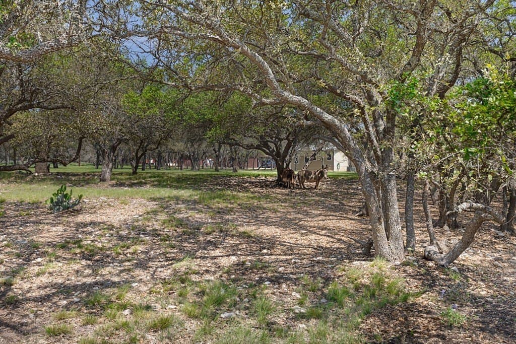 5 acres in Kimble County - photo 42