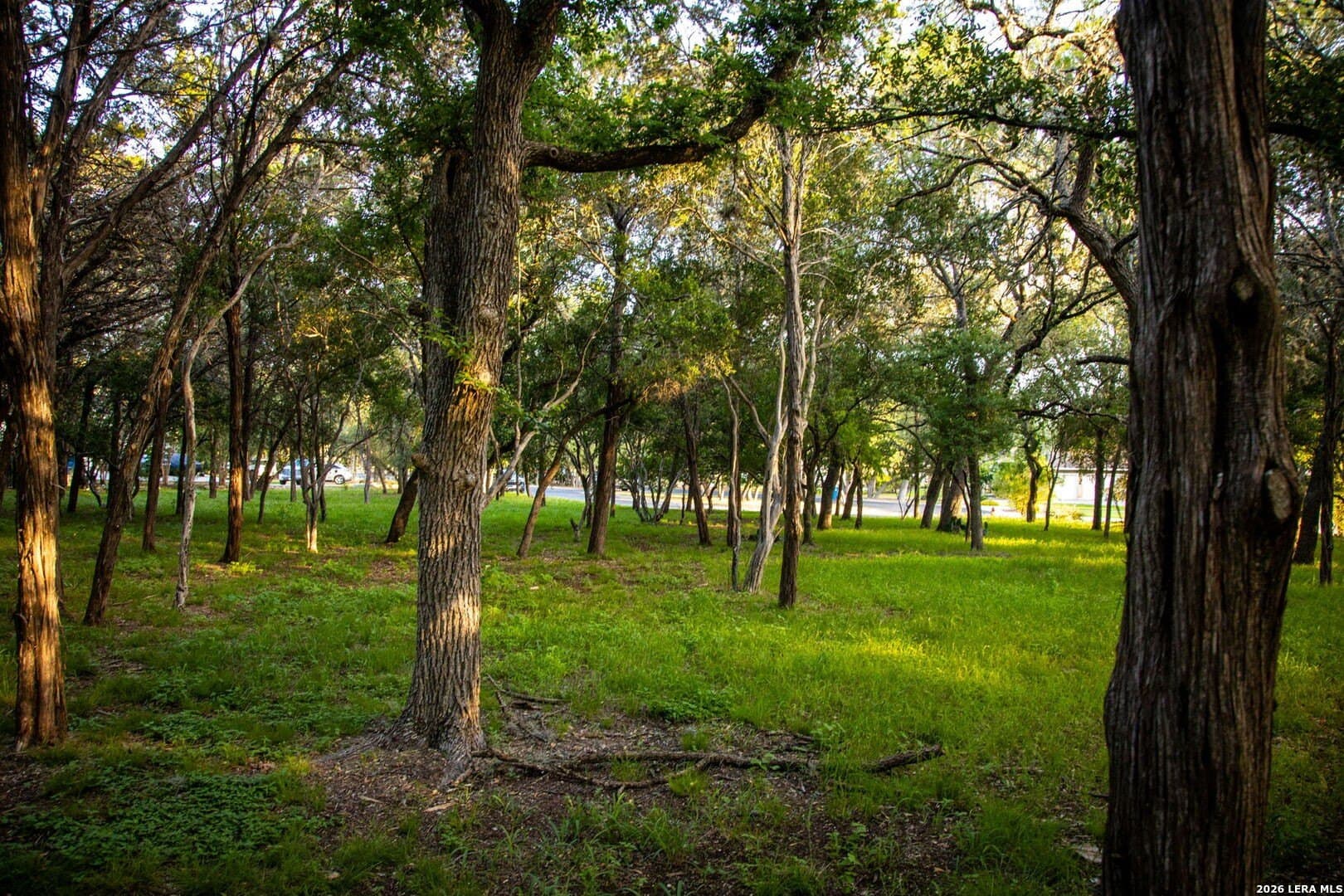 1.11 acres in Comal County - photo 6