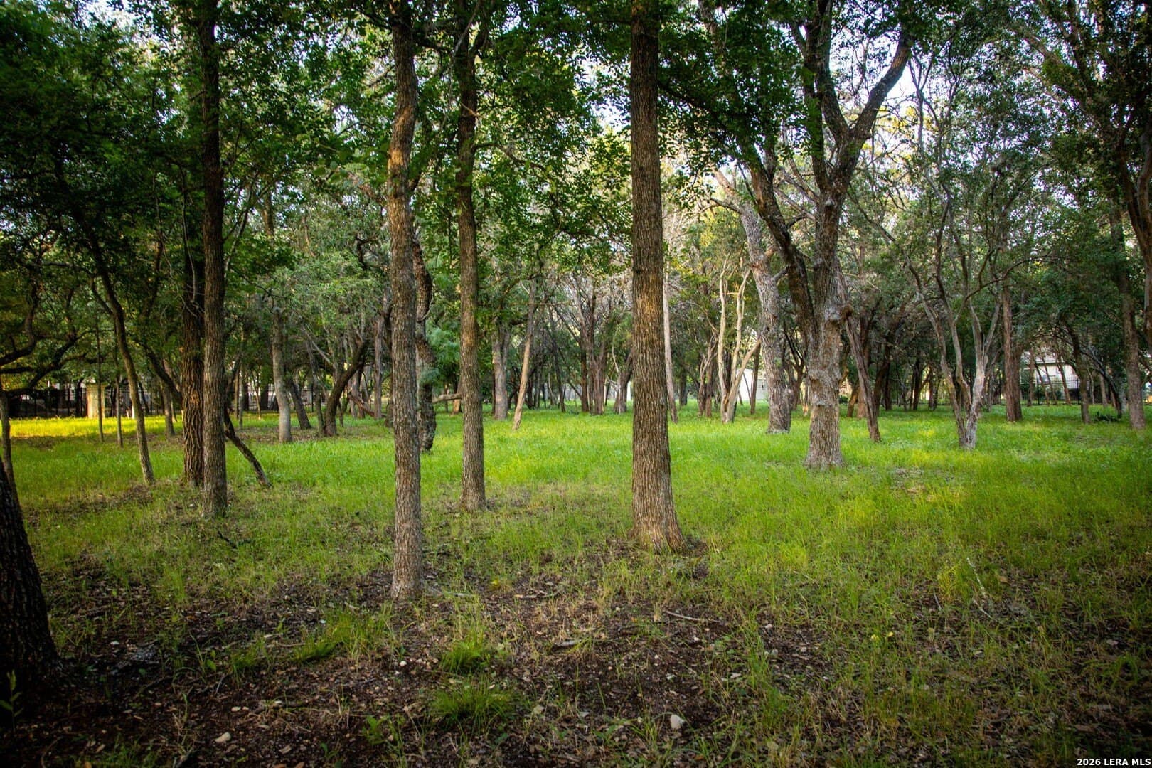 1.11 acres in Comal County - photo 10