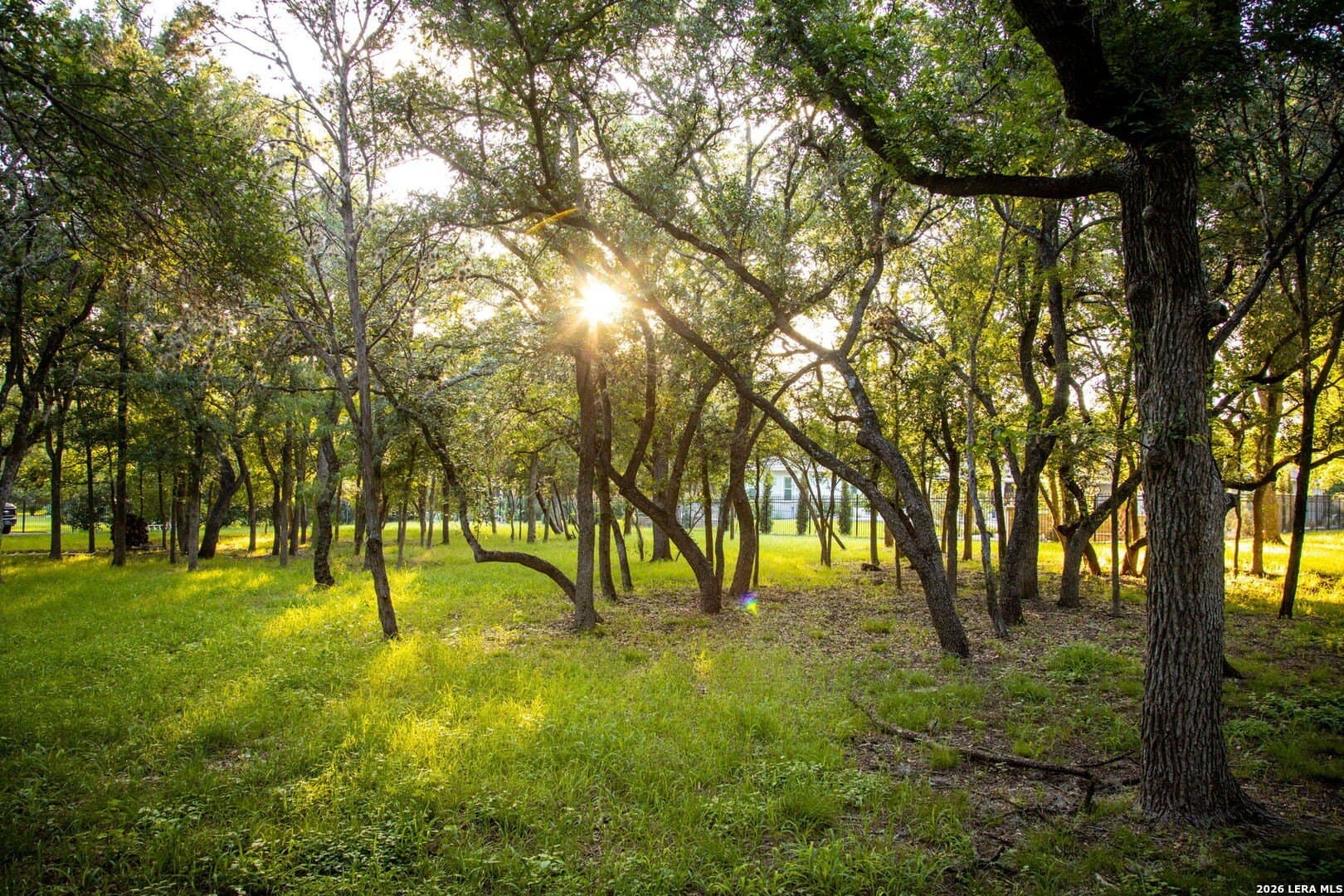 1.11 acres in Comal County - photo 7