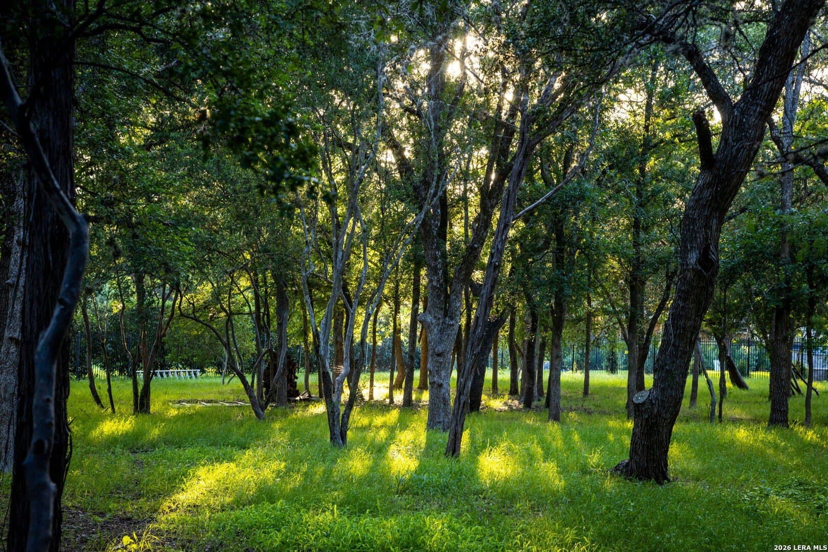 1.11 acres in Comal County featured view