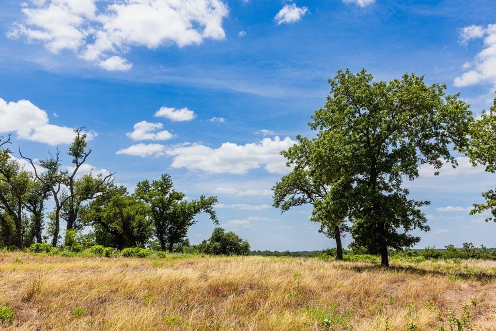 8.9 acres in Gillespie County - photo 8